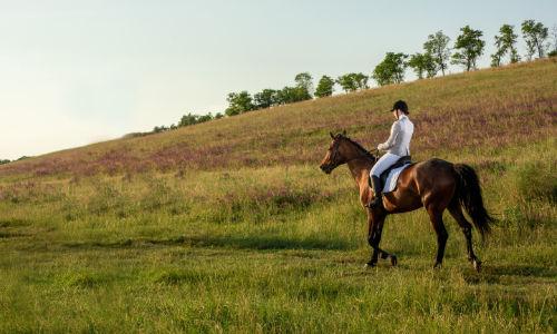 Horse riding