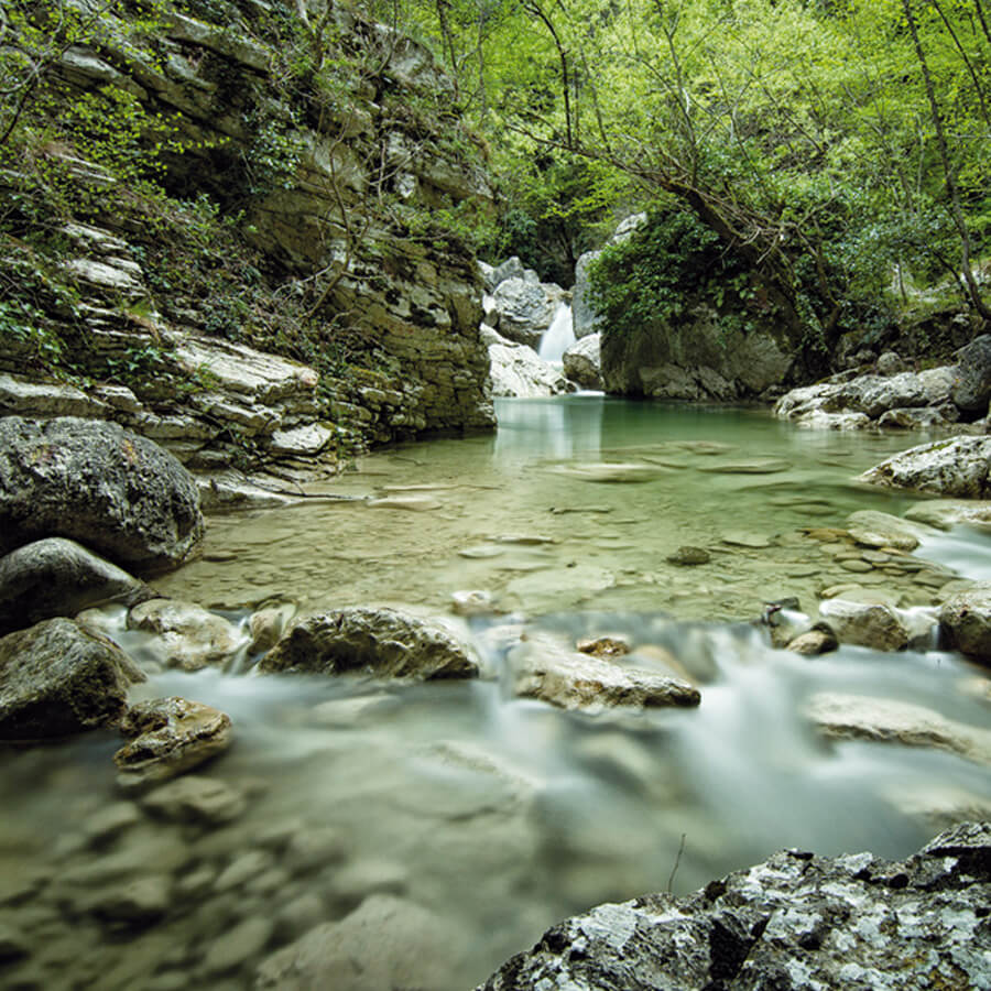 A dip in nature