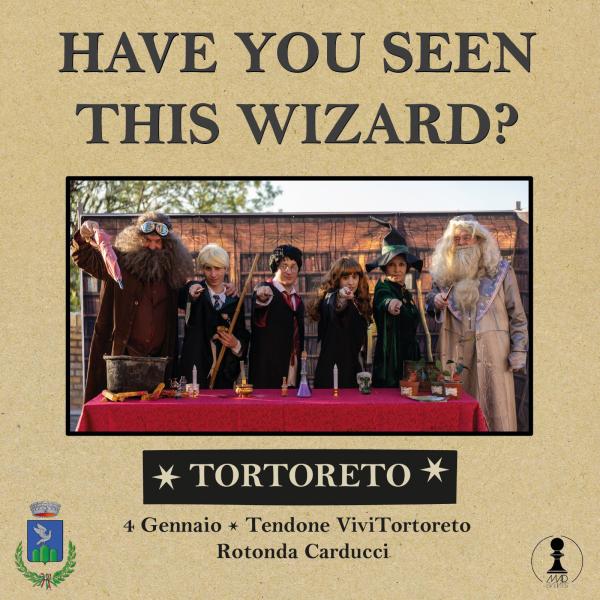 Have you seen this Wizard?